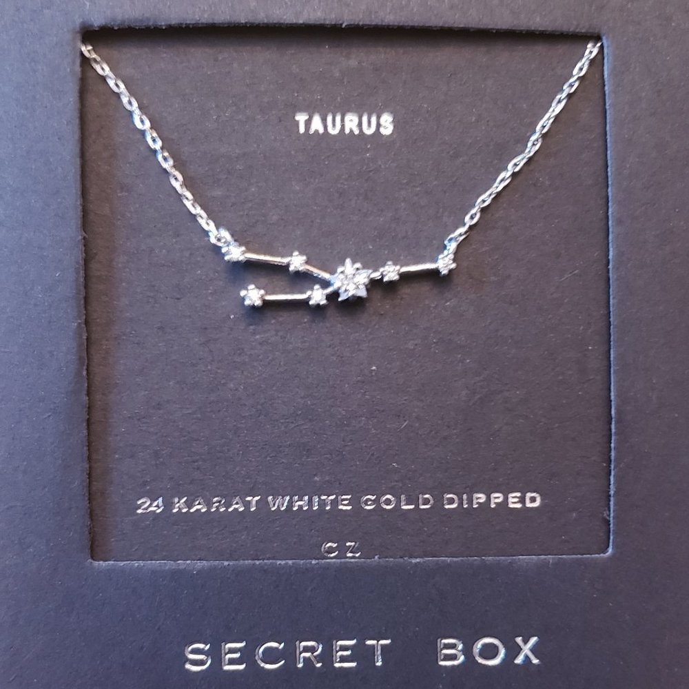 TAURUS | Dainty Constellation ZODIAC Necklace